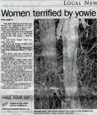 Manning Times Newspaper Article Yowie Sighting